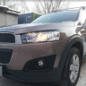 Защита радиатора "Standart" Chevrolet Captiva рестайлинг (2013-2015) чёрная купить недорого с доставкой в Волоколамск
