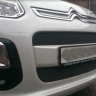 Защита радиатора "Standart" Citroen C3 Picasso (2012-2016) чёрная купить недорого с доставкой в Волоколамск