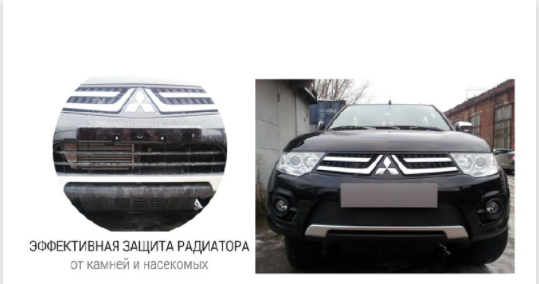 Защита радиатора "Standart" Citroen C3 Picasso (2012-2016) чёрная купить недорого с доставкой в Волоколамск